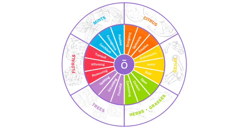 rueda de la aromaterapia, terapia natural con aceites esenciales en Zaragoza, Huesca y Teruel.